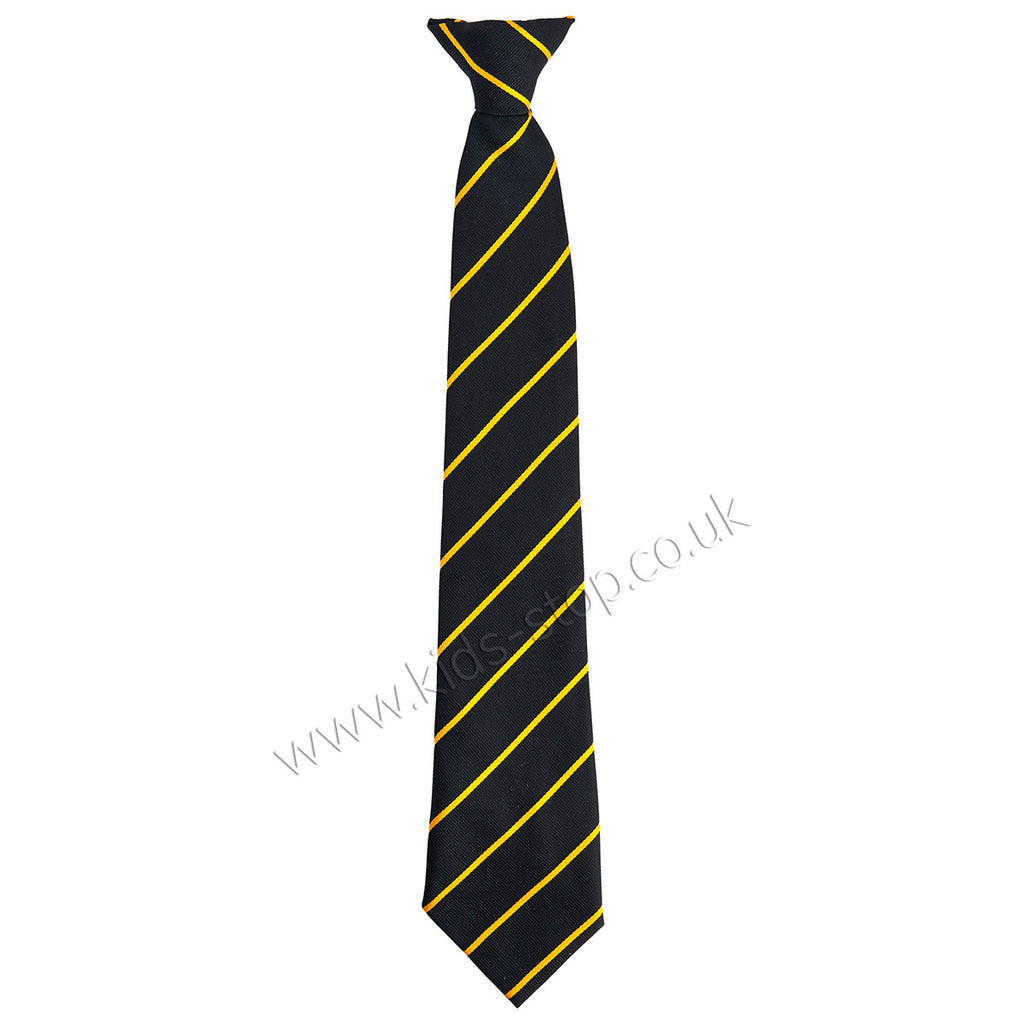St_Thomas_More_RC_College_Tie_